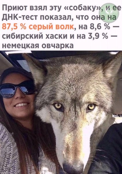 Gh1UWQDcjs