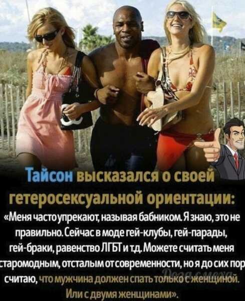 picture_293768446