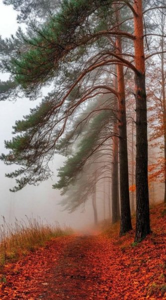 Природа