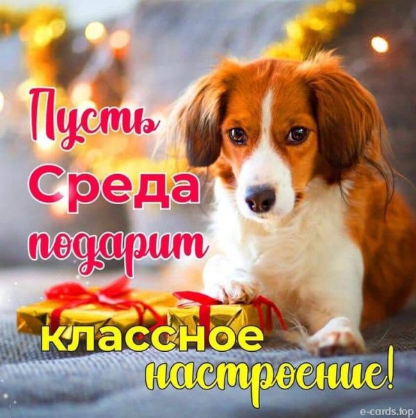 Всем вам!