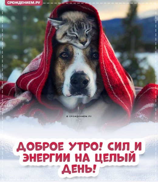 Доброе утро!