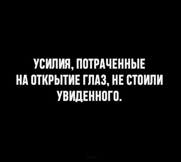 IMG-20211111-WA0004