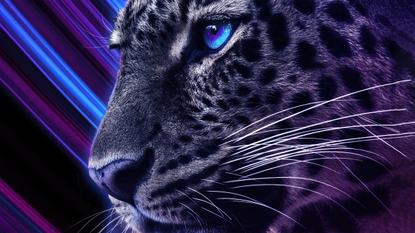 Cheetah-digital-art-animal 4K-4.3336