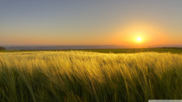 a sunny days wallpaper