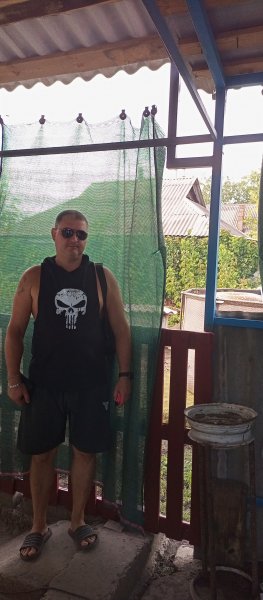 picture_395132457