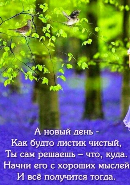 5a371a18108a37680c79799296b794a