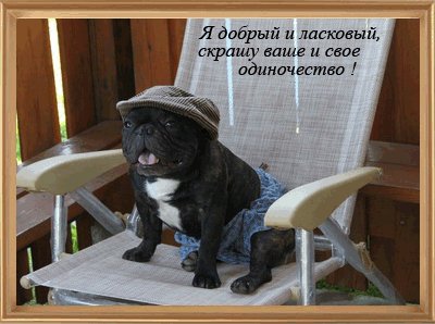 Я добрый...