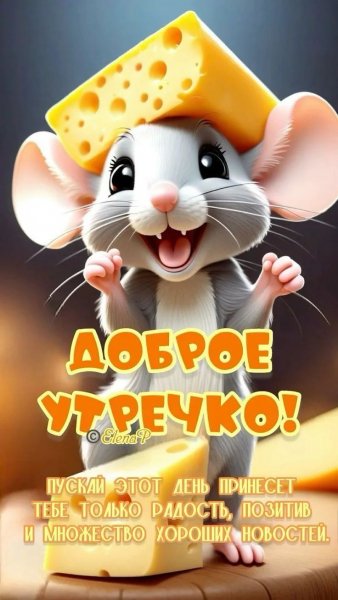 IMG 20260801 101800 303