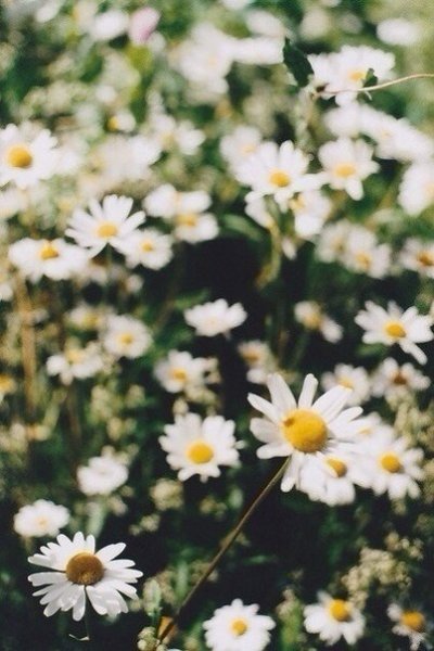 picture_183300918