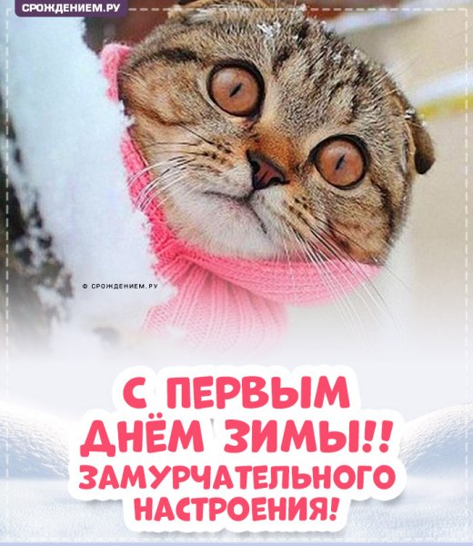 Всех!