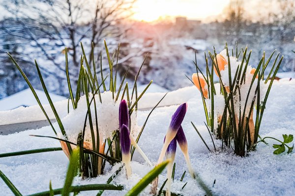 IStock-1203179446