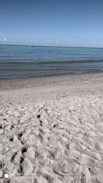 picture_416114615