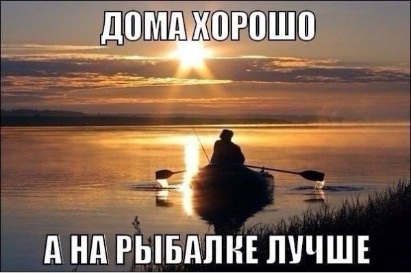 Факт!