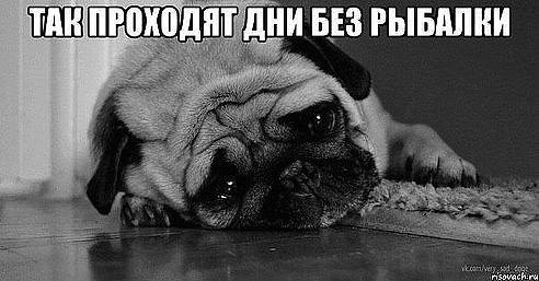 IMG 20170813 180305 53
