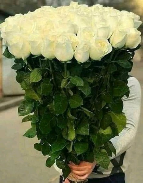FB IMG 15914591678638802