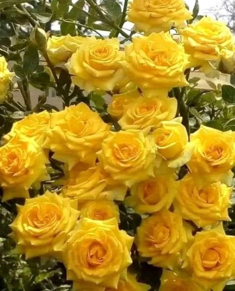 FB IMG 1630326232694