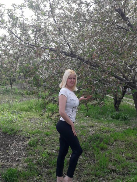 picture_268677761