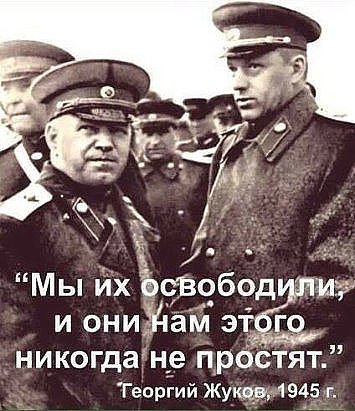 Д.П28