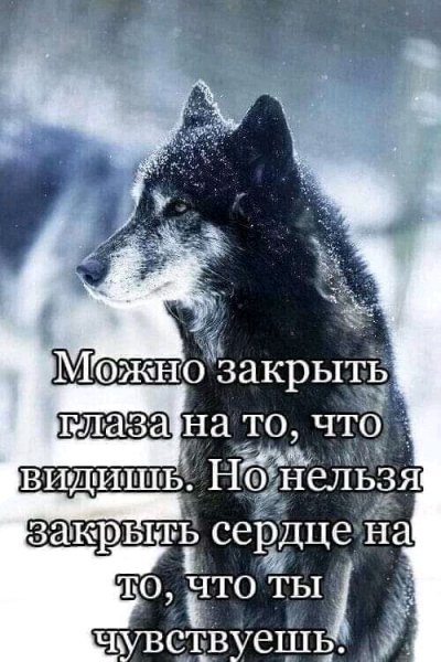 FB IMG 16965094515972776