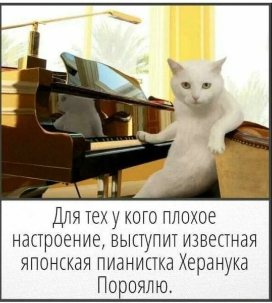 Опаньки!