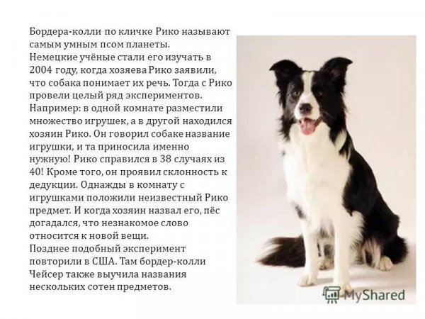 Это интересно