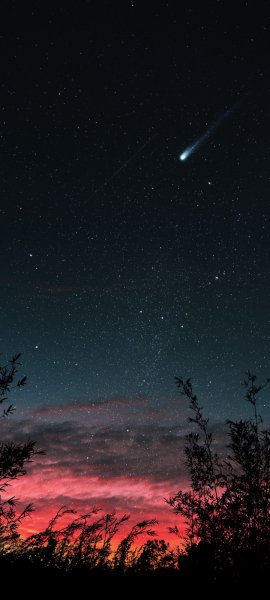 Android Wallpaper (182)