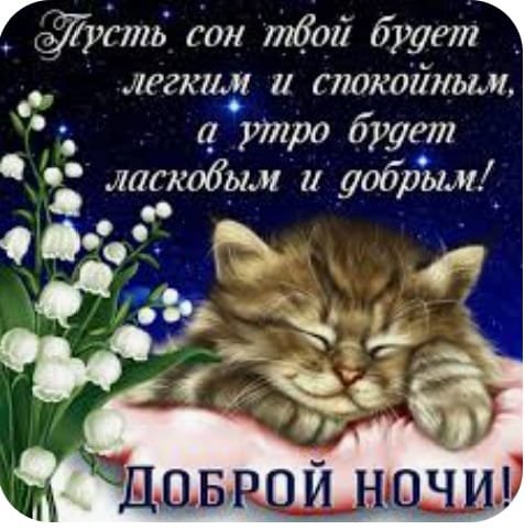 8aac98e51a53405287f2314e9724eebb