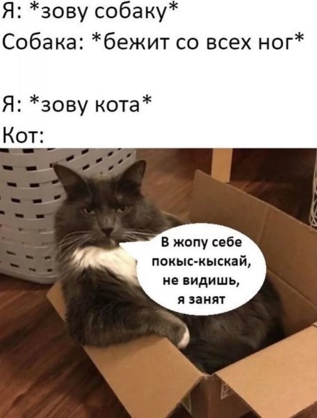 p.1200.1200.0