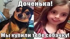 IMG-660cf273de7db5556fb513e52f520b52-V