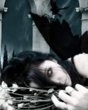 7era.ru fallen angel- 7era.ru