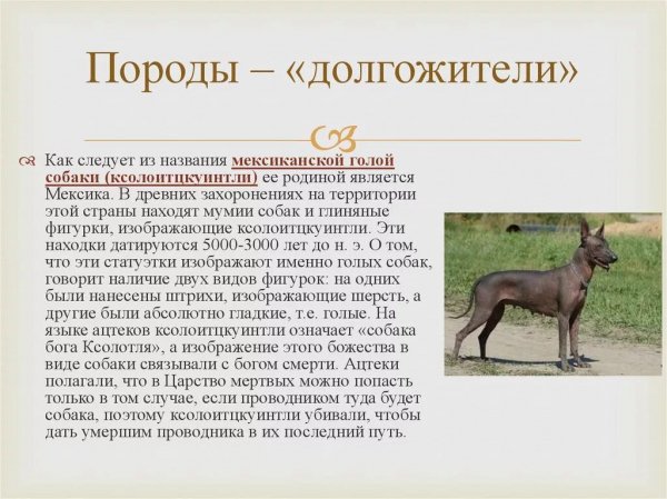 Это интересно