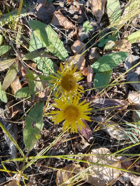 picture_396437615