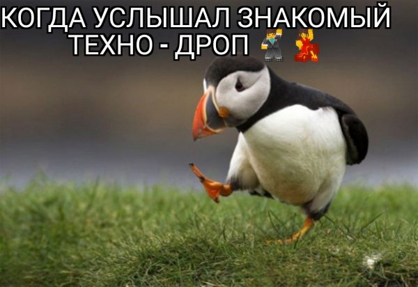 Рэйв