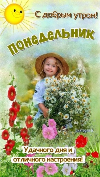 IMG 20260727 110745 413