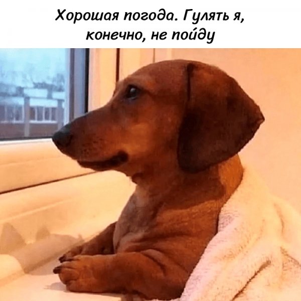 NvCJtGDnoK8EiocqKXxbsiNoSGuF-64v-M1E0dCyfbdHXkl-MpfHpRpIQdU