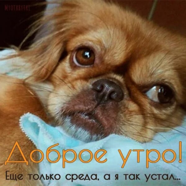 Доброе утро!