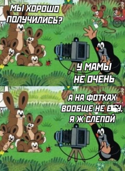 fd1f03e 20312789