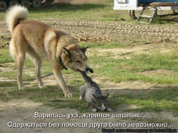 Было невозможно