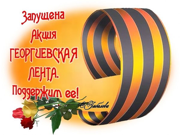 image (6)
