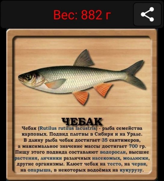 Чебак