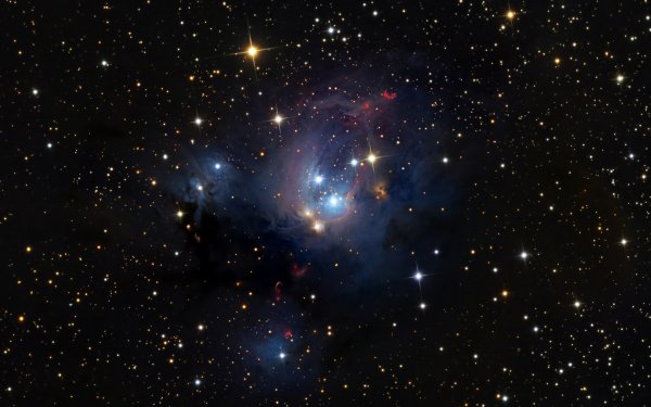 zwalls.ru-33781