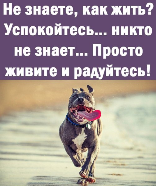 И радуйтесь!