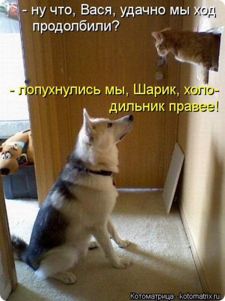 Холодильник правее!