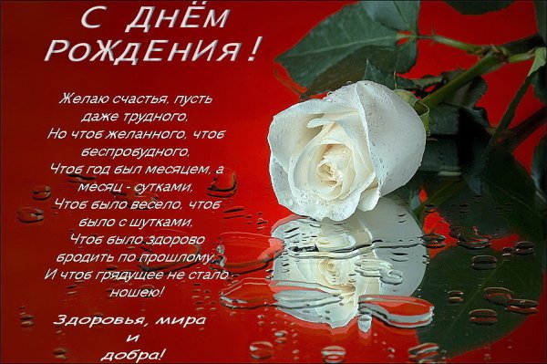 image (23)