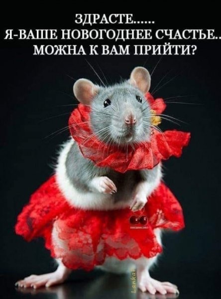 IMG 20191215 233257