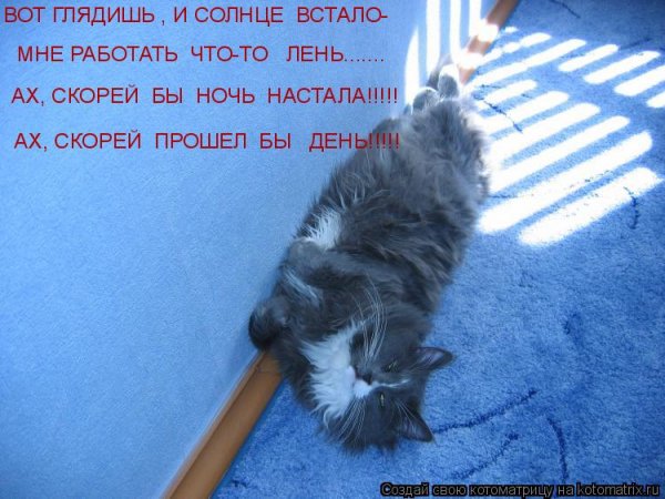Прошёл бы день!!!!