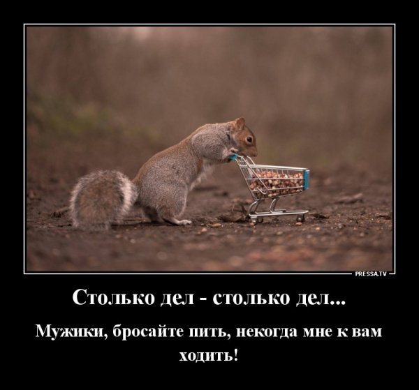 Бросайте пить...