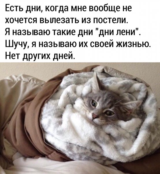 Шучу...