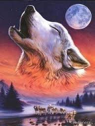 images-3