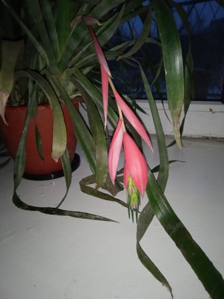IMG 20260129 165756
